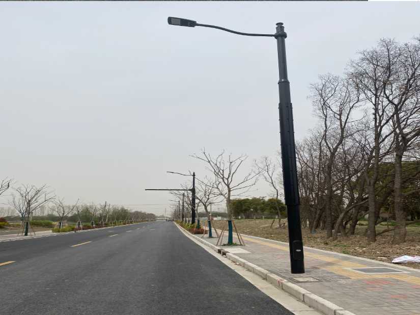 浦口区上海综合杆 太阳能路灯工程